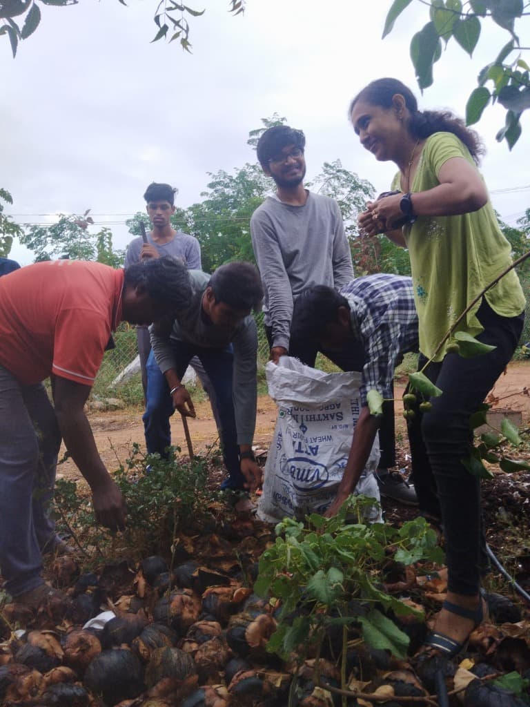 Seeds of Hope